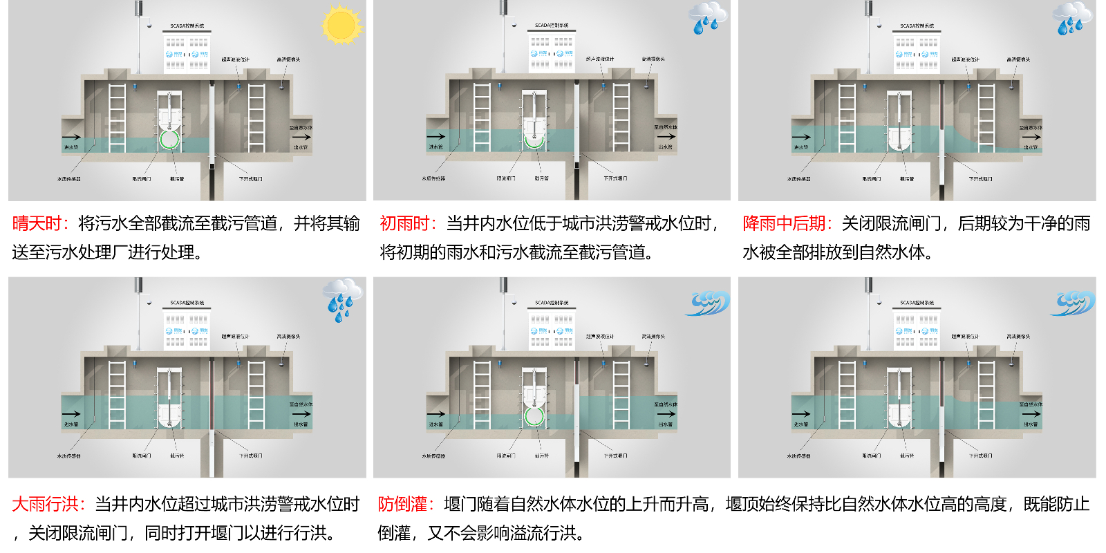 二四六天天彩资料大全网
