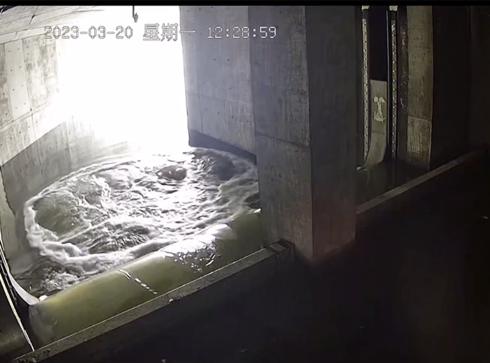 二四六天天彩资料大全网