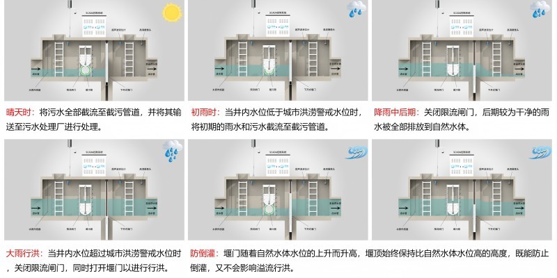 二四六天天彩资料大全网