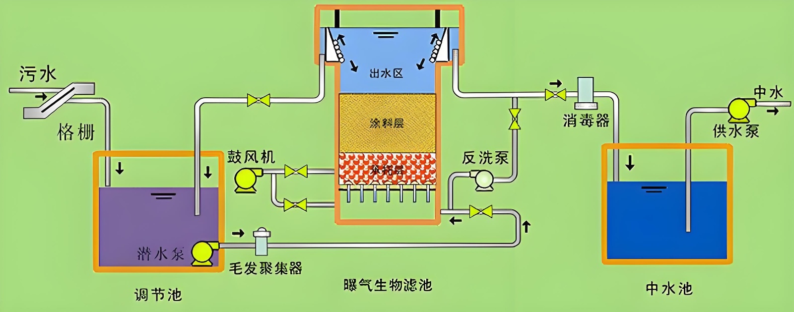 二四六天天彩资料大全网